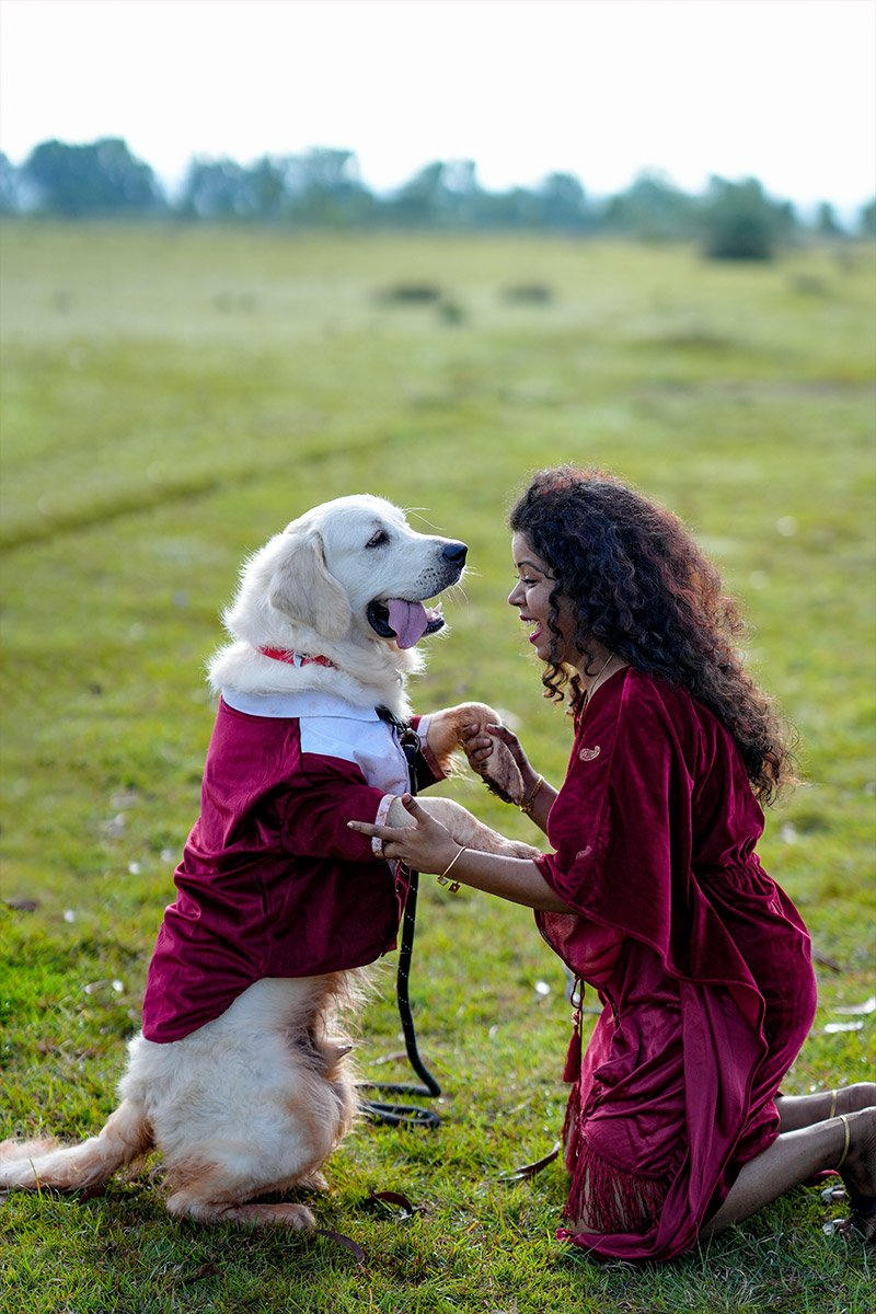 Pet Shoot